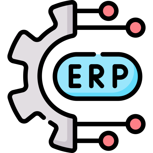 ERP Development
